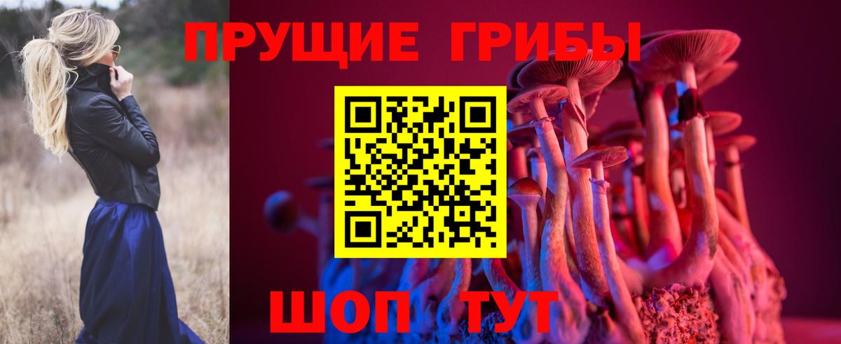 Псилоцибиновые грибы Magic Shrooms  Вход с VPN  Красноярск 